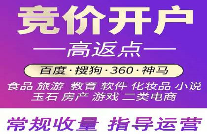 某电商企业如何通过百度竞价广告提升销售额